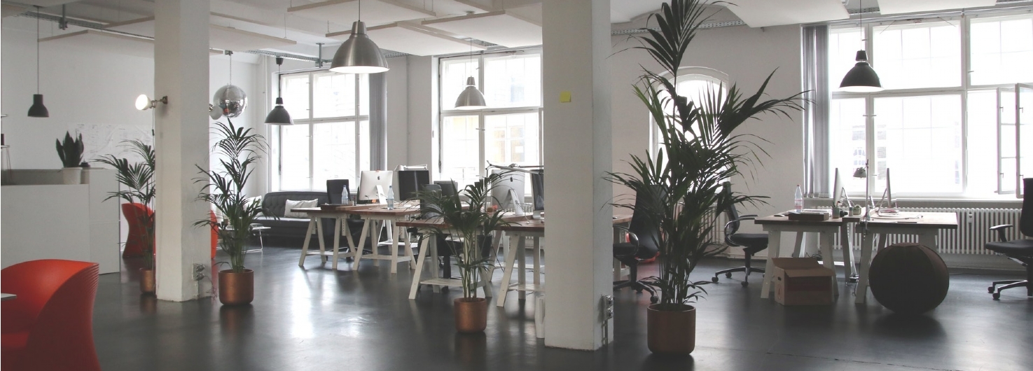 Leasing or Renting an Office Space Leasing or Renting an Office Space